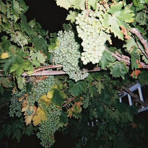 欧美成人性色生活片
