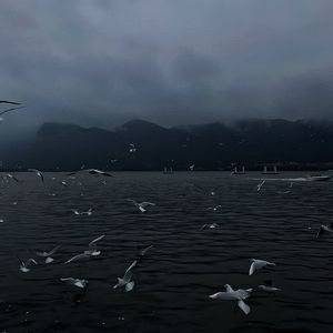 欧美成人性色生活片
